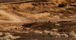 扑克背后的逻辑之美（隐藏在扑克中的逻辑之美）